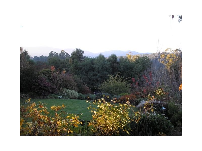 1600 Mt Baw Baw Road (Near Noojee), Icy Creek VIC 3833