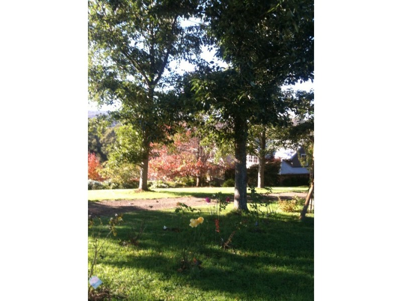 1600 Mt Baw Baw Road (Near Noojee), Icy Creek VIC 3833