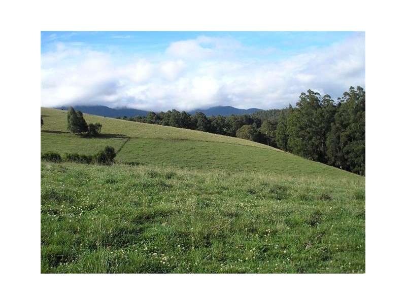 1600 Mt Baw Baw Road (Near Noojee), Icy Creek VIC 3833