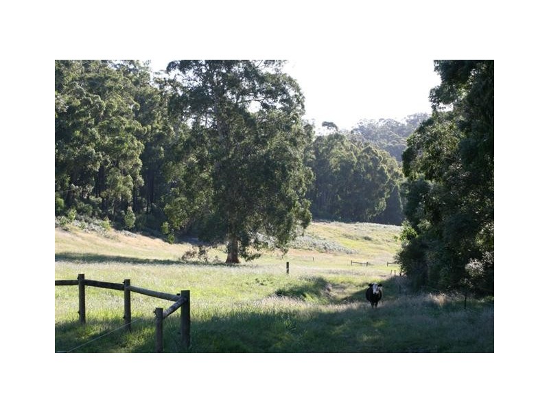 700B McDougal Road, Neerim South VIC 3831