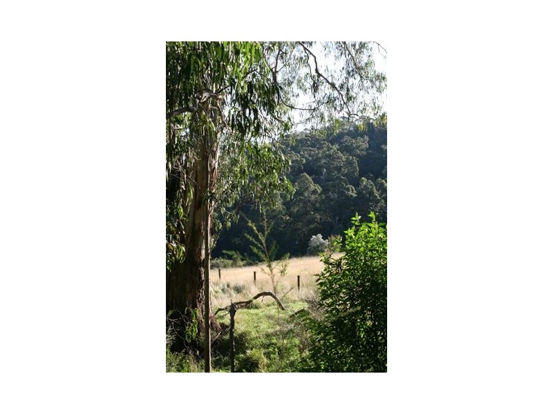 700B McDougal Road, Neerim South VIC 3831