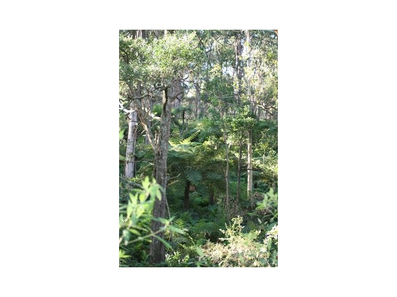 700B McDougal Road, Neerim South VIC 3831