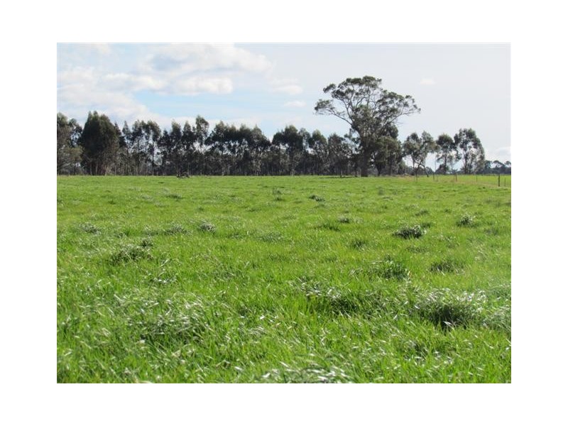 678 Shady Creek Road, Yarragon VIC 3823