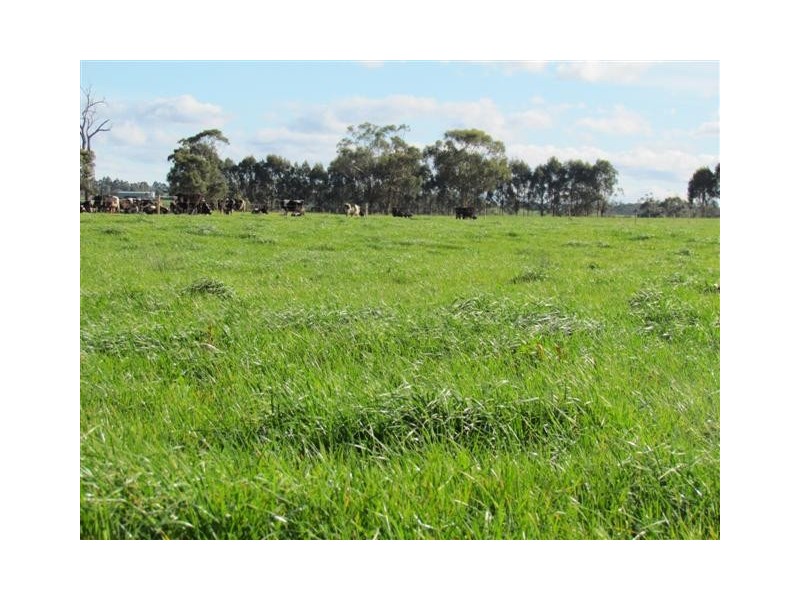 678 Shady Creek Road, Yarragon VIC 3823