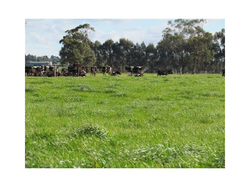 678 Shady Creek Road, Yarragon VIC 3823