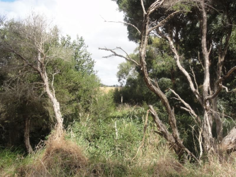 5967 Sth Gippsland Hwy, Welshpool VIC 3966
