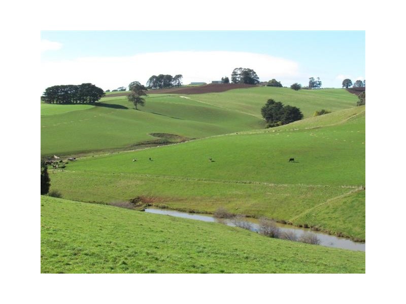 141 Chute Road, Thorpdale VIC 3835