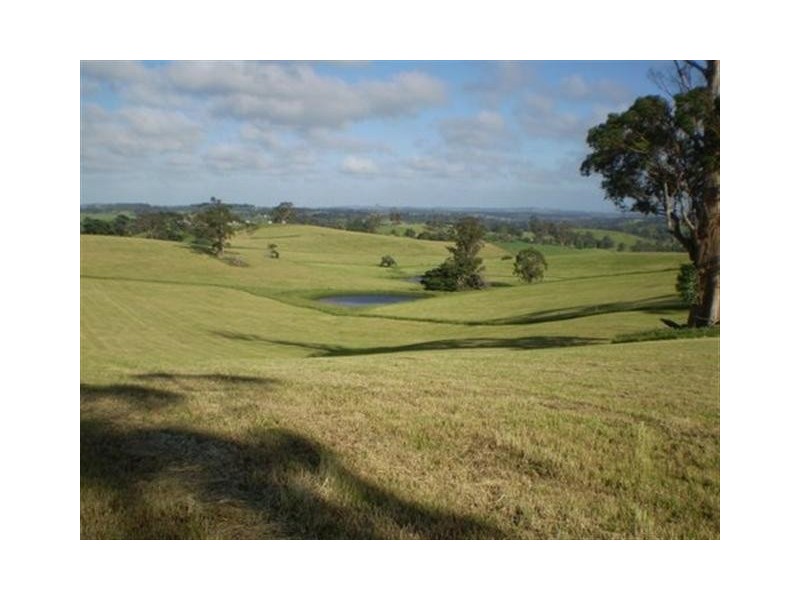 33 Elder Road, Mountain View VIC 3988