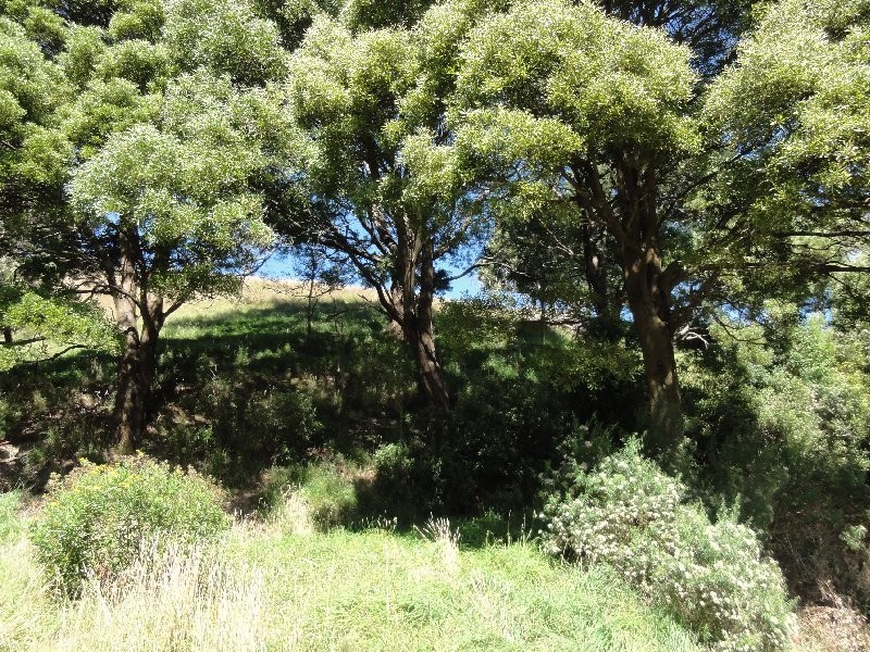 Lot 1 Foster Mount Best Rd, Foster VIC 3960