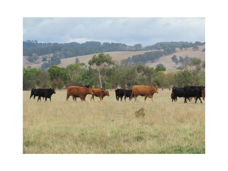 105 Ten Mile Road, Yarragon VIC 3823