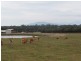 6225 Sth G’Hwy, Welshpool VIC 3966