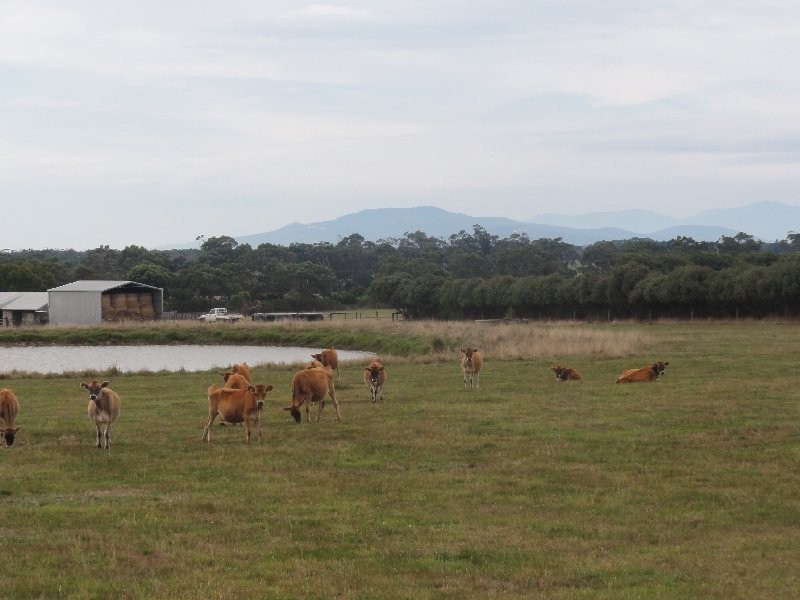 6225 Sth G’Hwy, Welshpool VIC 3966