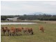 6225 Sth G’Hwy, Welshpool VIC 3966