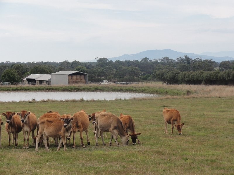 6225 Sth G’Hwy, Welshpool VIC 3966