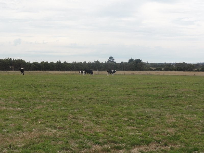 6225 Sth G’Hwy, Welshpool VIC 3966