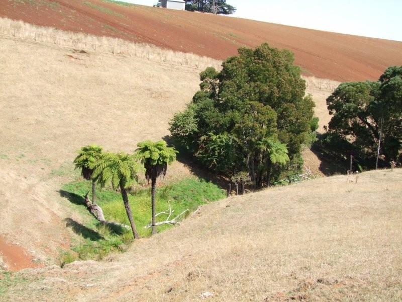 Mirboo North VIC 3871