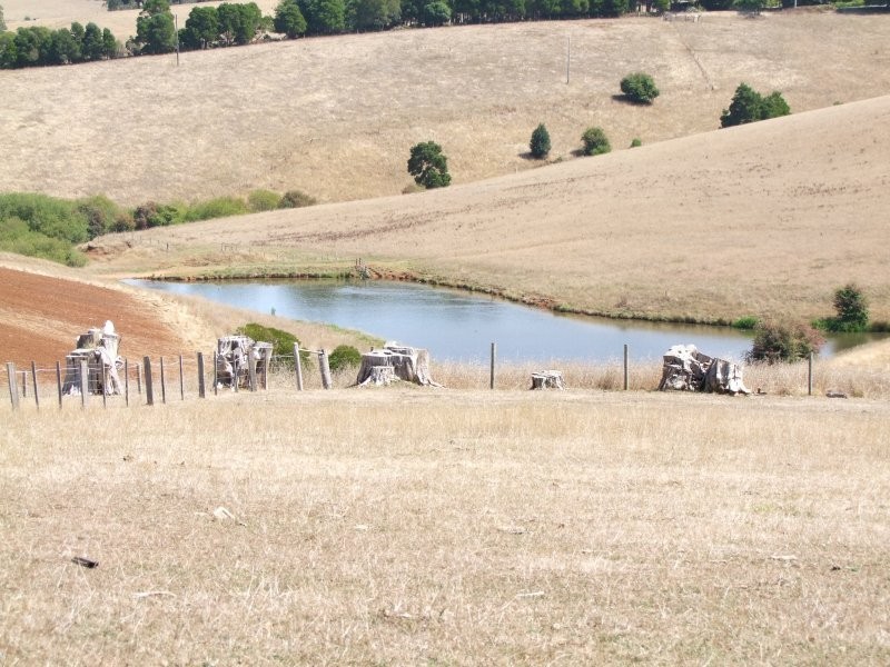 Mirboo North VIC 3871