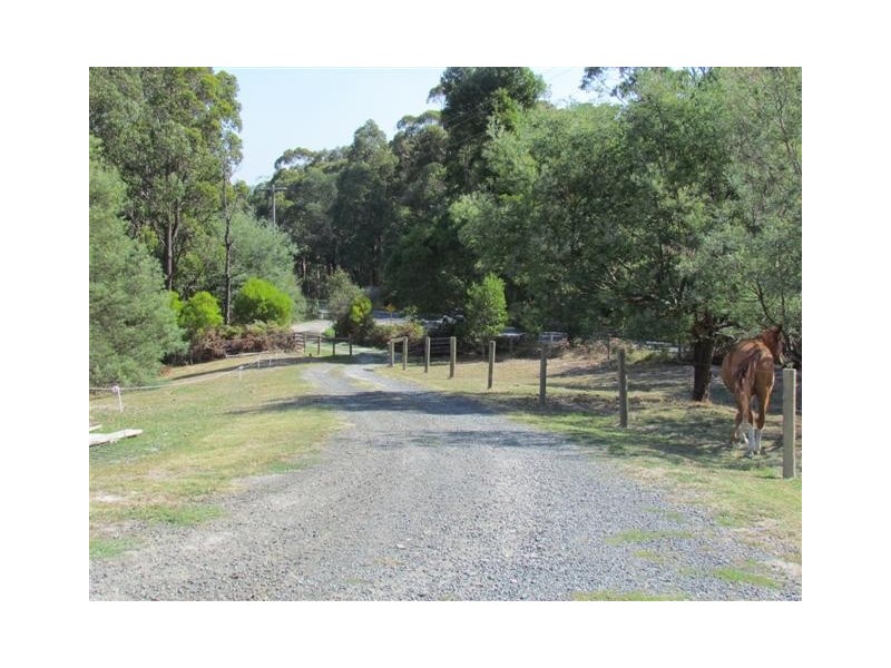 1516 Main Neerim Road, Crossover VIC 3821