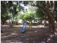 Drouin South VIC 3818