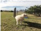60 McKanes Rd, Toora VIC 3962