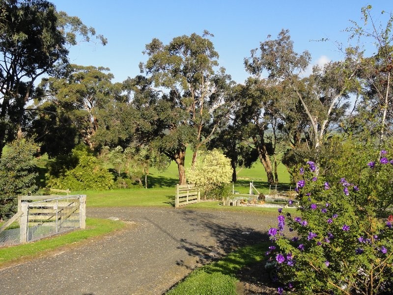 165 Rendells Road, Hedley VIC 3967