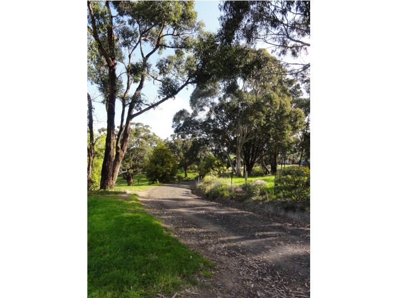 165 Rendells Road, Hedley VIC 3967