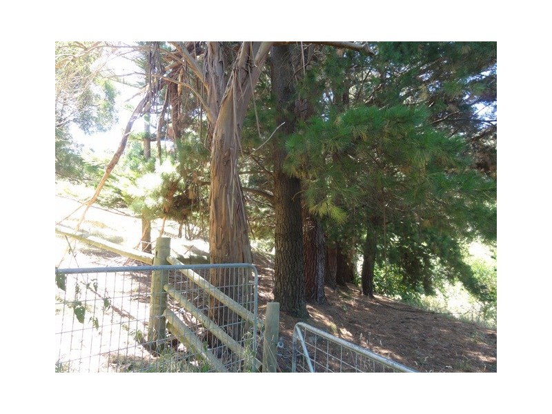 230 Foster Mt Best Rd, Foster North VIC 3960