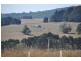 275 St Ellens Road, Mirboo North VIC 3871