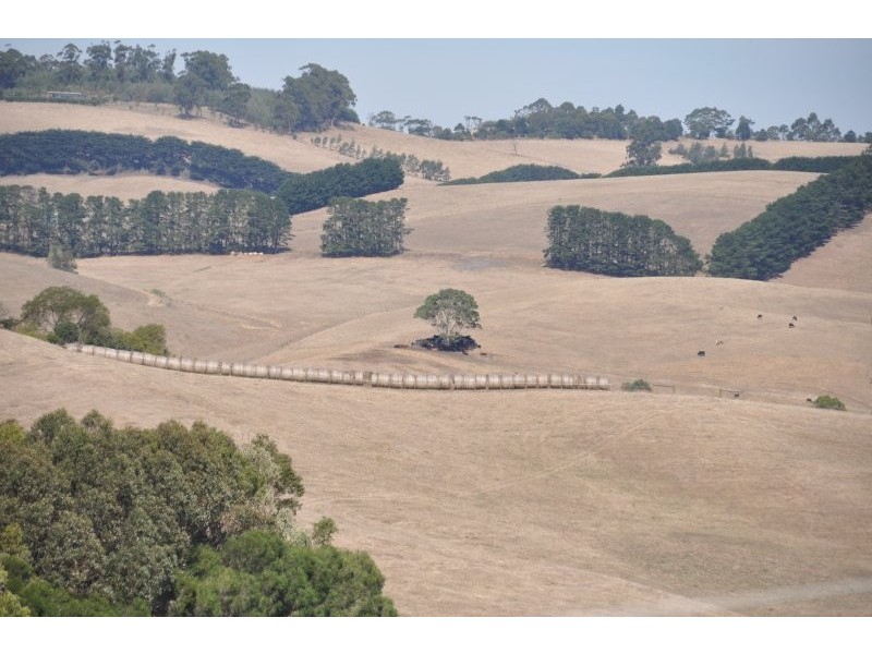 275 St Ellens Road, Mirboo North VIC 3871