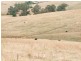 185 Garvies Road, Nerrena VIC 3953
