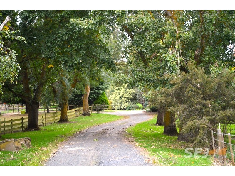 310 Sheffield Road, Neerim South VIC 3831