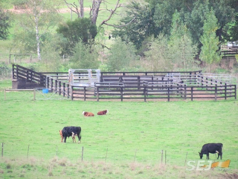 310 Sheffield Road, Neerim South VIC 3831