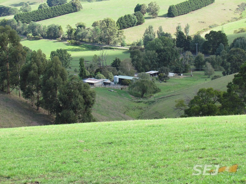 310 Sheffield Road, Neerim South VIC 3831