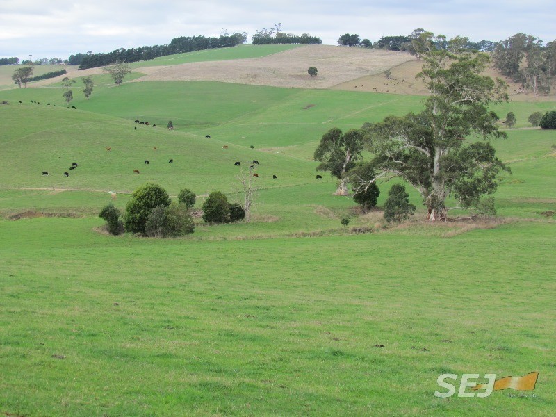 310 Sheffield Road, Neerim South VIC 3831