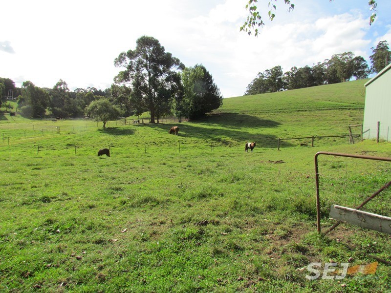 310 Sheffield Road, Neerim South VIC 3831