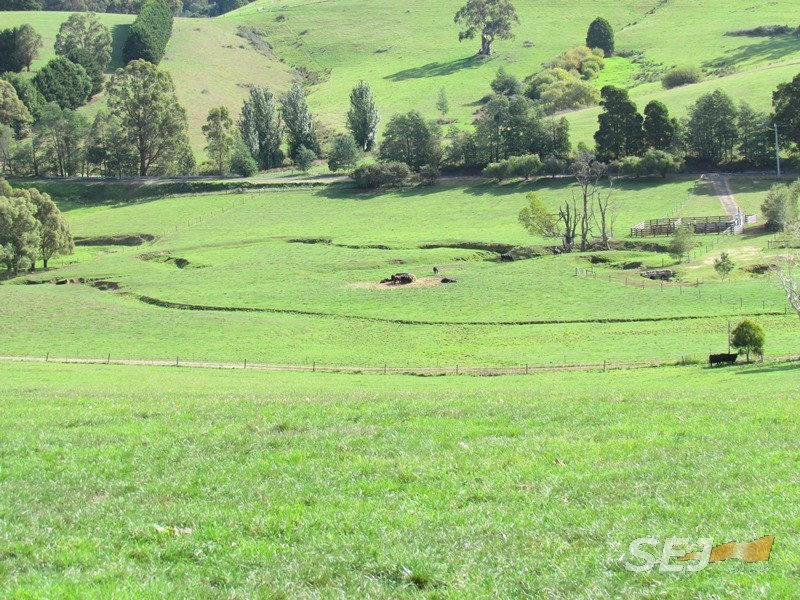 310 Sheffield Road, Neerim South VIC 3831