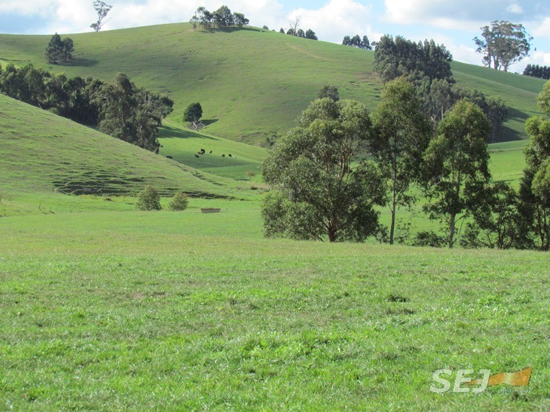 310 Sheffield Road, Neerim South VIC 3831