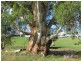 310 Sheffield Road, Neerim South VIC 3831