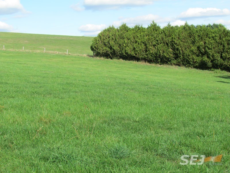 310 Sheffield Road, Neerim South VIC 3831