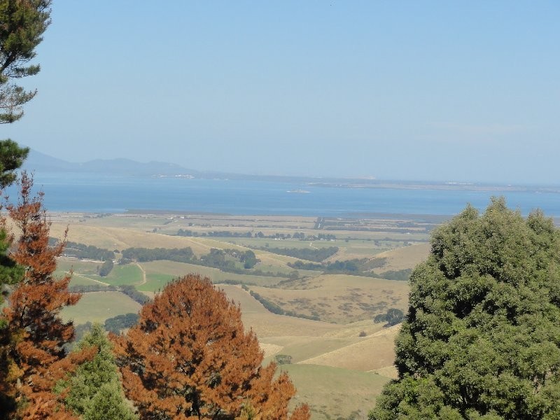 20 Mount Best Tin Mine Rd, Toora VIC 3962