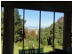 20 Mount Best Tin Mine Rd, Toora VIC 3962