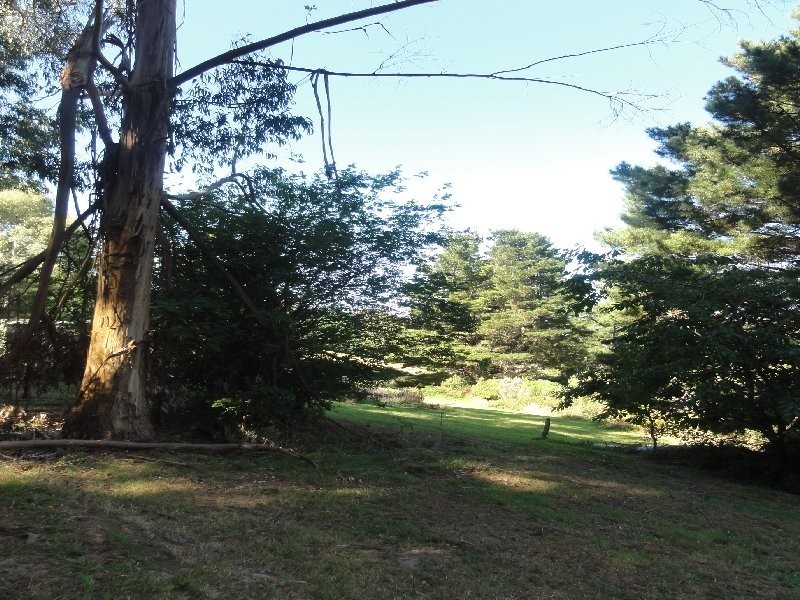 20 Mount Best Tin Mine Rd, Toora VIC 3962