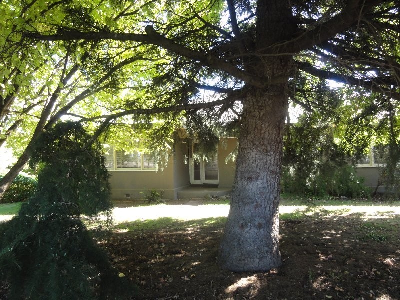 53 Calrossie Rd, Devon North VIC 3971