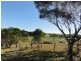630 O’Gradys Ridge Road, Fish Creek VIC 3959