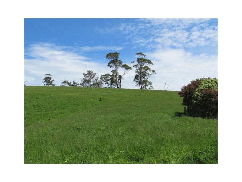 821 Mountain View Road, Mountain View VIC 3988