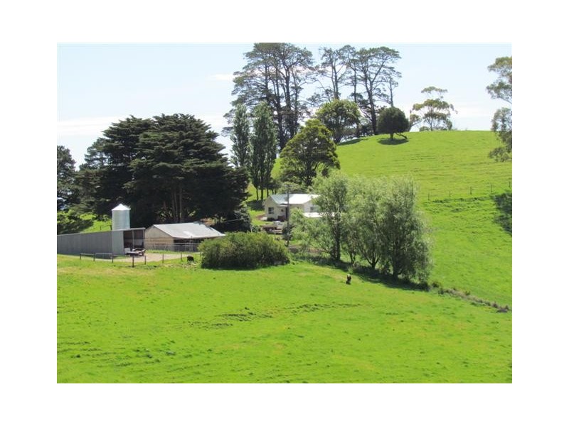 821 Mountain View Road, Mountain View VIC 3988