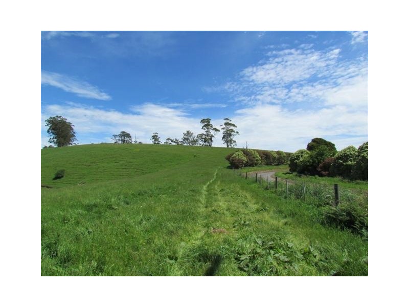 821 Mountain View Road, Mountain View VIC 3988