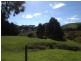 495 Woomera Creek Rd, Toora North VIC 3962