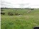 495 Woomera Creek Rd, Toora North VIC 3962
