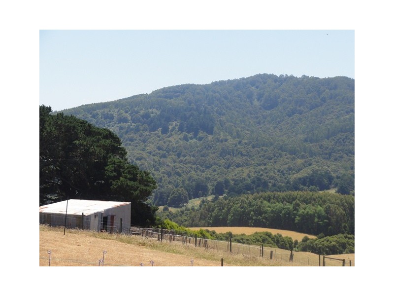 125 Mt Best Tin Mine rd, Mount Best VIC 3960